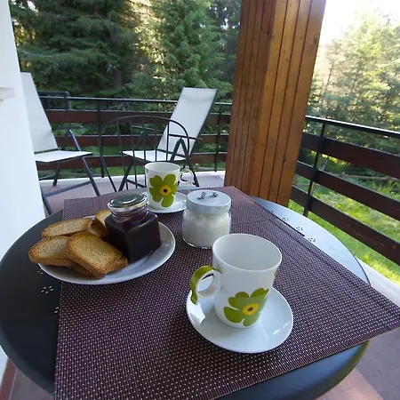 La Brisa Tatil Evi Predazzo